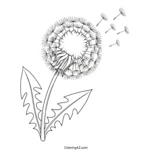 color dandelion