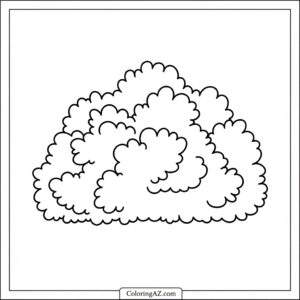 coloring pages bushes